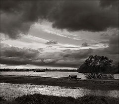photo "To home!"