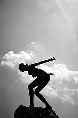 photo "to fly"