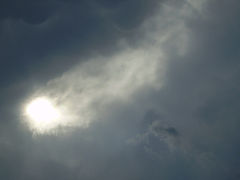 photo "..."