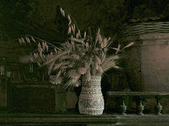 photo "Vase, rye and darkness"