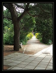 photo "Classical Park Photography"