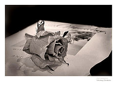 фото "Can't live without love (part II)"