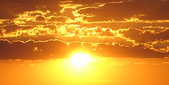 photo "Golden. Kind. Eternal."