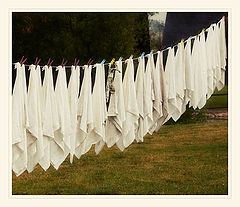 photo "Drying"