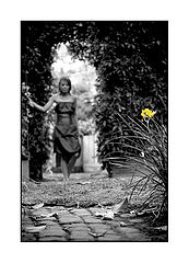 photo "Garden Of Eden"