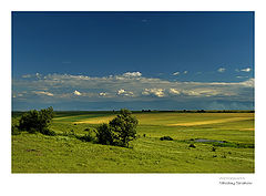 фото "Homeland"