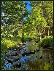photo "Paints of summer"