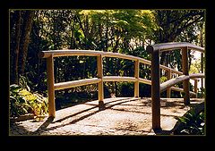 photo "On the way to the nature..."