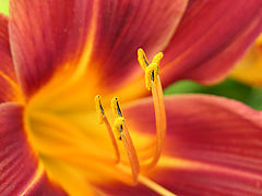 photo "All ahead"