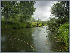 photo "July rain..."