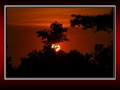 фото "Sun"