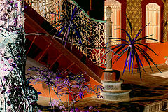 photo "AU CONTRAIRE"