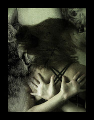 photo "prey"