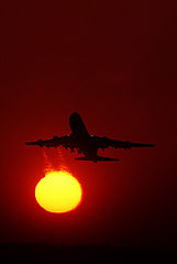 photo "Drink of the sun"