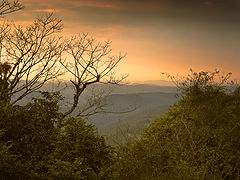 photo "Songs of the Beloved #1"