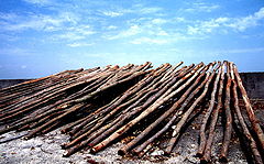 фото "Wood ,  Sea"