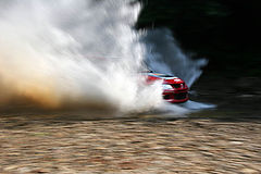 photo "Rally"