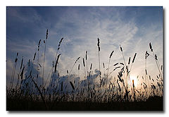 photo "*****"