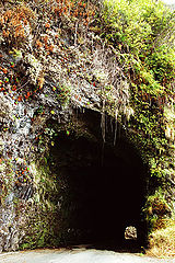 photo "Old road"
