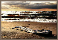 фото "Waves"