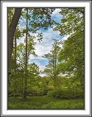 photo "Etude of late spring"