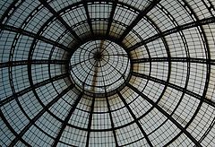 photo "web"