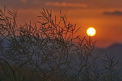 photo "sunset"