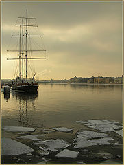 photo "City on the Neva river"