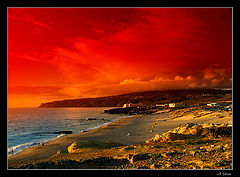 photo "Warm Day"