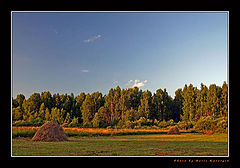 фото "Копёнки"