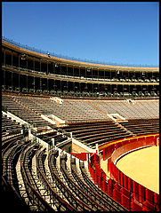 photo "Bullring"