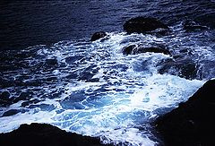 photo "***"