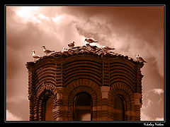 photo "Untitled photo"