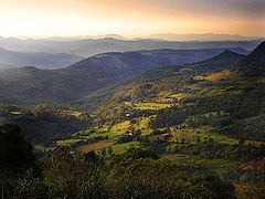 photo "Songs of the Beloved #3"