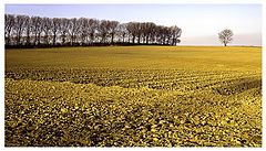 фото "Behind my home"