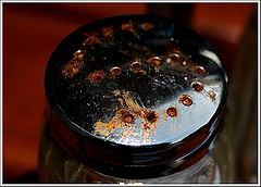 photo "salt of life"
