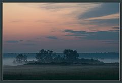 фото "Walk in Fog (1)"