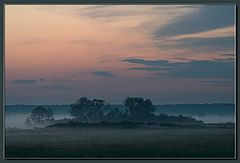 photo "Walk in Fog (1)"