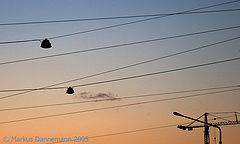 photo "Wire"