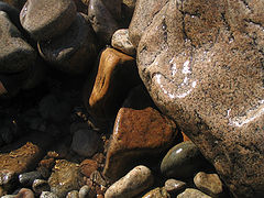 фото "Улыбка"