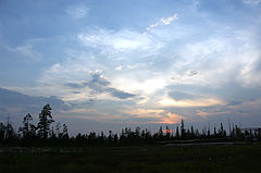 photo "Taiga sundown"