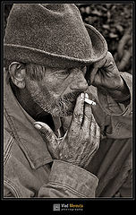 фото "..."