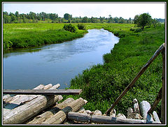 photo "Kind from the bridge"