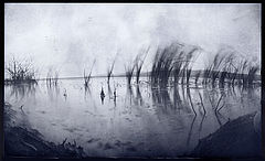 photo "Burned water"