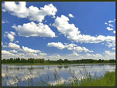 photo "There..."
