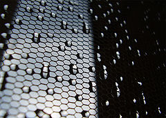 photo "Little parts of life"