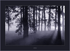 photo "Mirage"