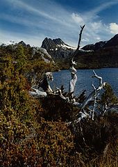 photo "Cradle Mountain, Tasmania"