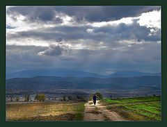 фото "The road to nowhere - part II"
