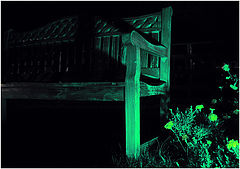 photo "6"